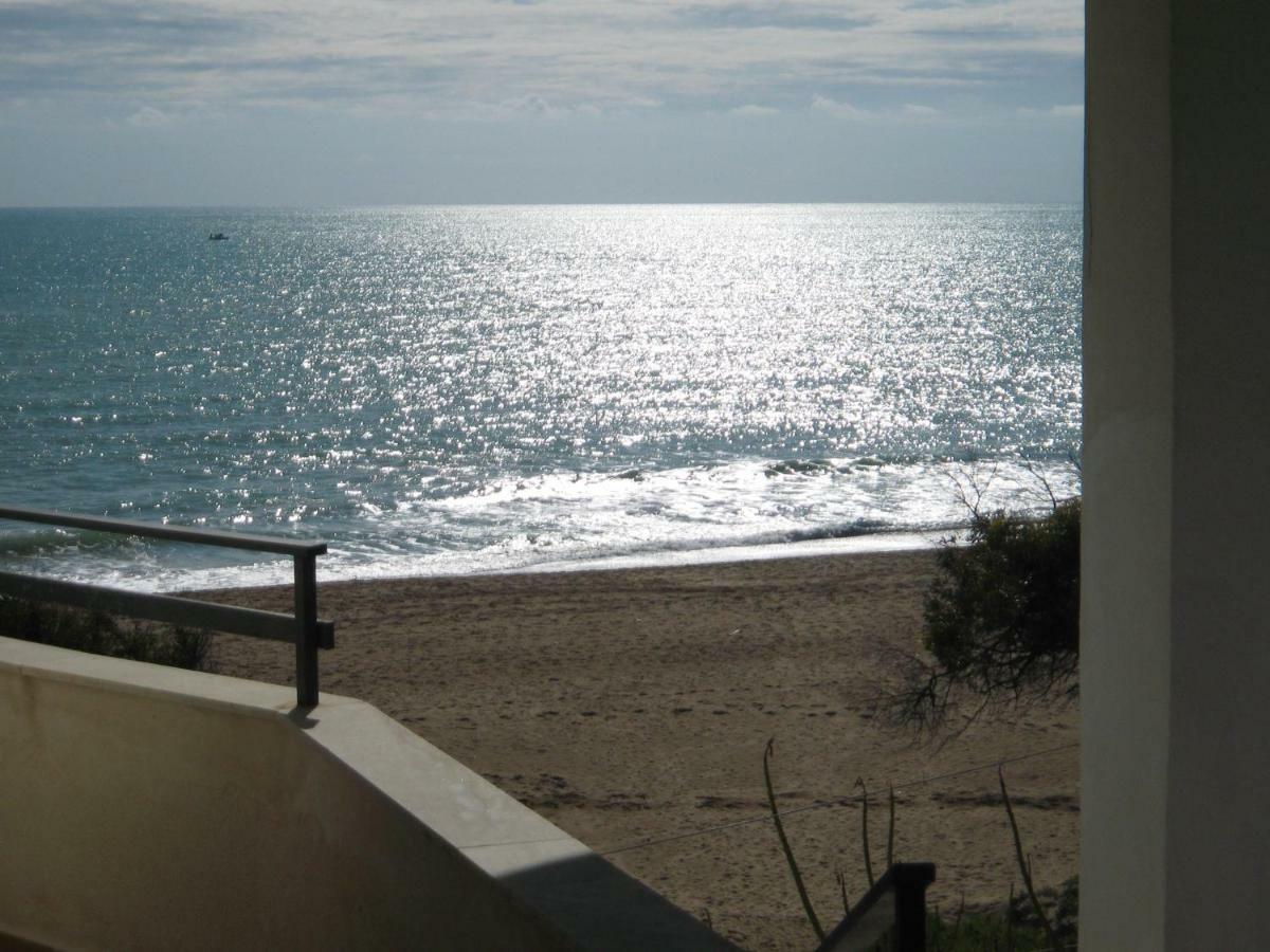 فيلا Seaside سان ليون المظهر الخارجي الصورة